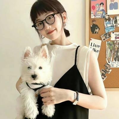 追捕野狼帮